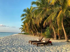 Balancing Burnout: The Benefits of Destination Learning