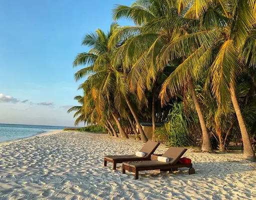 Balancing Burnout: The Benefits of Destination Learning