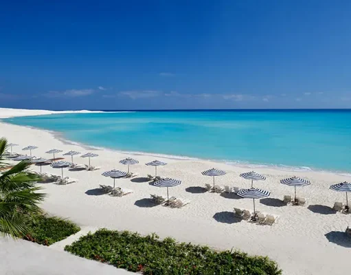 Discover Marassi’s Ultimate Beachfront Dining Destination