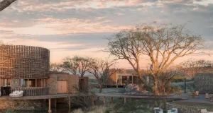 From Hunting Reserve to Wildlife Haven: Sandringham Private Game Reserve Opens a New Chapter in South Africa