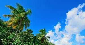 Caribbean: How to Do a Tropical Escape Right