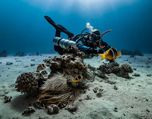 9 Things That Matter More Than Visibility When Choosing a Dive Destination