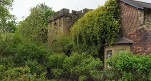 How UK Garden Neglect Is Linked to Falling Property Prices