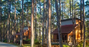 How Setting Up a Cabin Base Is Changing the Way Avid Travelers Experience a Destination