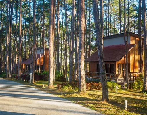 How Setting Up a Cabin Base Is Changing the Way Avid Travelers Experience a Destination