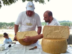 The Attic, the Cellar and the Copper Vat: How Emilia-Romagna Feeds the World