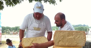 The Attic, the Cellar and the Copper Vat: How Emilia-Romagna Feeds the World