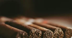 Why Natural Cigars Continue to Dominate the Premium Market