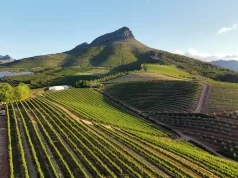 Atzaró Collection Launches Bespoke Cape Winelands Experiences from Cape Town