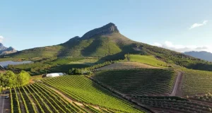 Atzaró Collection Launches Bespoke Cape Winelands Experiences from Cape Town
