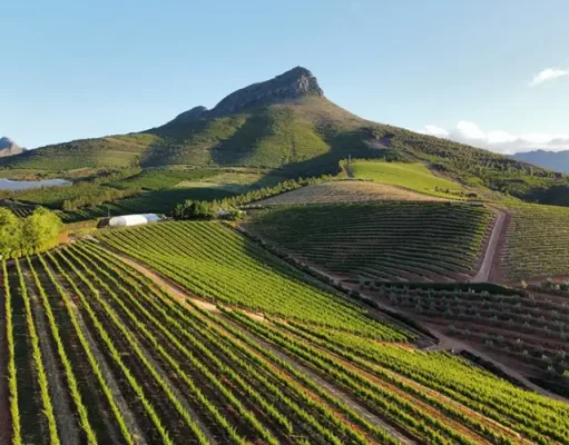 Atzaró Collection Launches Bespoke Cape Winelands Experiences from Cape Town