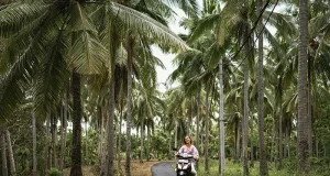 Motorbike Rentals in Bali: Tips for Choosing a Safe and Reliable Service for Tourists