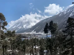 Best 8 to 15-Day Treks in Nepal: 8 Himalayan Adventures for Every Traveller (2026 Guide)