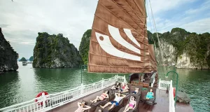 Bhaya Cruises Introduces New Wellness and Cultural Experiences in Ha Long Bay