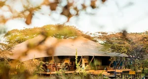 Great Plains Introduces New Experiences at Mara Expedition Camp, Kenya