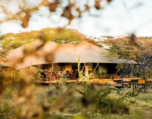 Great Plains Introduces New Experiences at Mara Expedition Camp, Kenya