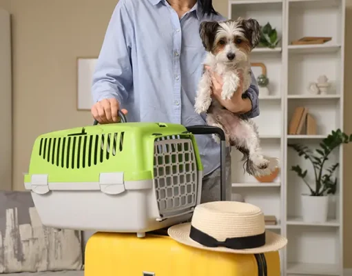 AVMA Veterinarians Offer Tips for Smooth Travel with Pets this Season