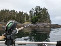 Why Hiring a Portland Salmon Fishing Guide Can Transform Your Trip