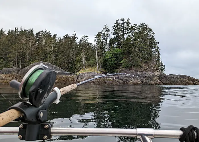 fishing-rod-with-calm-lake-trees-background-cloudy-day copy