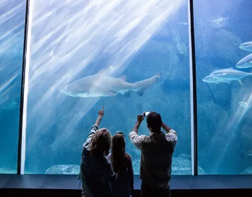 KL to Singapore Travel Guide: Best Coaches & S.E.A. Aquarium Ticket Hacks