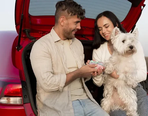 How Traveling Strengthens the Bond Between You and Your Dog