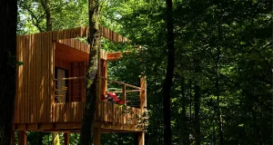 Loire Valley Lodges Expands with New Forest Lodges, Immersive Experiences and Seasonal Dining