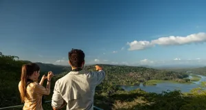 Panama’s Wild Side: Where to See Birds, Whales and Sea Turtles