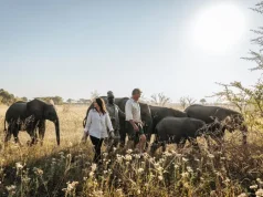 Atzaró Adds Elephant Conservation Experience to Botswana Safari Itinerary