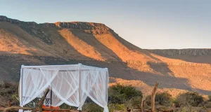 Four Extraordinary Wilderness Adventures at Samara Karoo Reserve