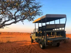 What Makes A Wildlife Adventure Truly Unforgettable?