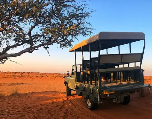 What Makes A Wildlife Adventure Truly Unforgettable?