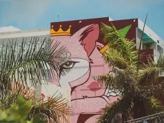 Exploring Miami’s Art Scene: A Practical Visitor’s Guide