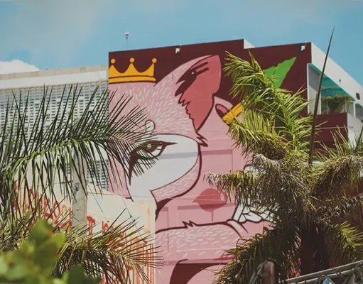 Exploring Miami’s Art Scene: A Practical Visitor’s Guide