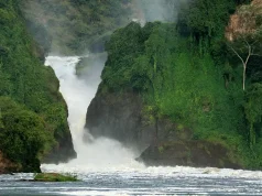 Best 5 Uganda National Parks to Visit this Year