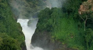 Best 5 Uganda National Parks to Visit this Year