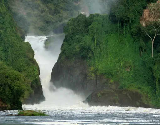 Best 5 Uganda National Parks to Visit this Year