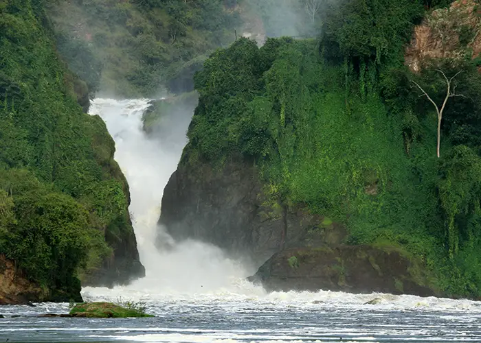 murchison-falls-np-uganda-africa-2026-03-09-03-26-32-utc copy