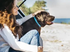 How to Plan a Dog-Friendly Vacation: 10 Essential Tips