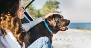 How to Plan a Dog-Friendly Vacation: 10 Essential Tips