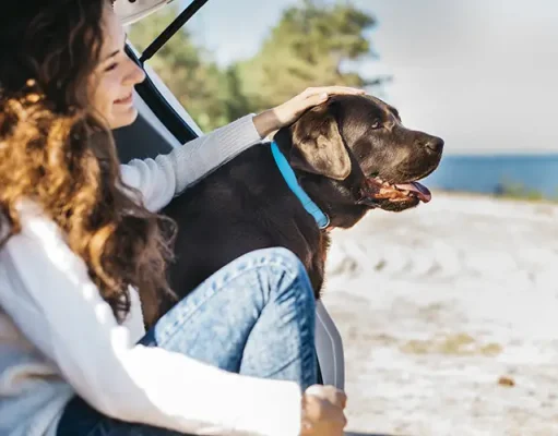 How to Plan a Dog-Friendly Vacation: 10 Essential Tips