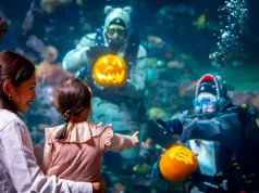 Vancouver Aquarium’s Fall Festival Brings Pumpkin Carving Underwater