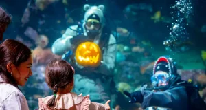 Vancouver Aquarium’s Fall Festival Brings Pumpkin Carving Underwater