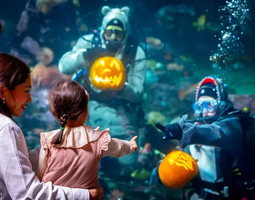Vancouver Aquarium’s Fall Festival Brings Pumpkin Carving Underwater