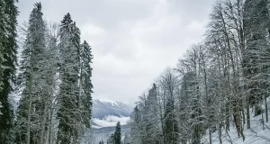 The Smart Way to Arrive in Courchevel 1850