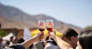 Areni Wine Festival 2026: A Taste of Armenia’s Ancient Wine Country