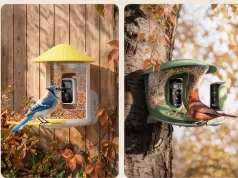 An Extravagant Nature Escape at Home: Transforming Your Own Backyard into a Personal Bird Sanctuary