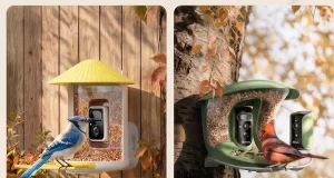 An Extravagant Nature Escape at Home: Transforming Your Own Backyard into a Personal Bird Sanctuary