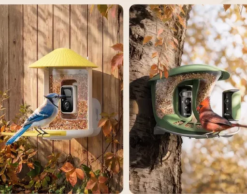 An Extravagant Nature Escape at Home: Transforming Your Own Backyard into a Personal Bird Sanctuary