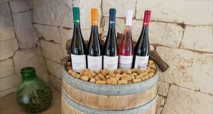The Art of Souvenir Collecting: How to Display Memories from Your Wine Country Travels
