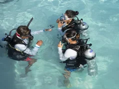 Nova Maldives and PADI Turn a September Escape Into Ocean Action